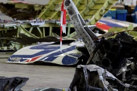 Mảnh vỡ máy bay MH17 bị bắn rơi ở Ukraine. (Nguồn: AP)