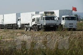 Ảnh minh họa. (Nguồn: AFP/TTXVN)