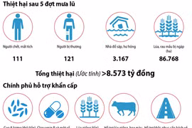 [Infographics] Mưa lũ ở miền Trung: 111 người chết và mất tích