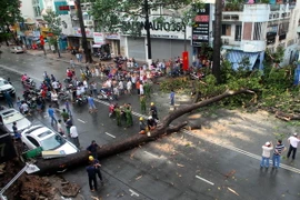 Hiện trường vụ việc. (Ảnh: Mạnh Linh/TTXVN)