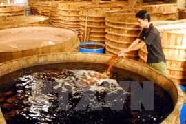 Sản xuất nước mắm truyền thống ở Phú Quốc. (Nguồn: TTXVN)