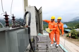 Ảnh minh họa. (Ảnh: Ngọc Hà/TTXVN)