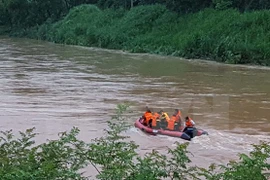 Ảnh minh họa. (Nguồn: TTXVN)