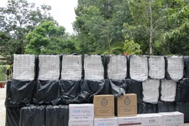  Tang vật bị thu giữ. (Ảnh: Bùi Như Trường Giang/TTXVN)