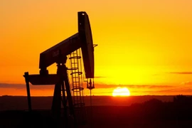 Ảnh minh họa. (Nguồn: AFP)