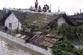 Mưa lũ tại Triều Tiên. (Nguồn: AP)