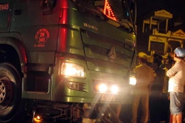 Ảnh minh họa. (Nguồn: TTXVN)