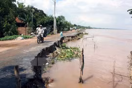 Ảnh minh họa. (Ảnh: Văn Trí/TTXVN)