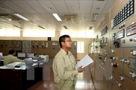 Ảnh minh họa. (Nguồn: TTXVN)