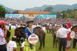 (Ảnh: Hồng Ninh/Vietnam+) 