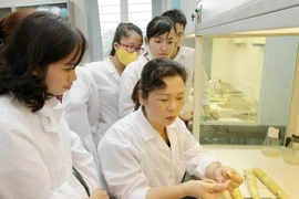 Ảnh minh họa. (Nguồn: TTXVN)