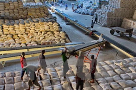 Bốc xếp gạo xuất khẩu tại Công ty cổ phần lương thực Hậu Giang. (Ảnh: Duy Khương/TTXVN)