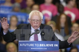 Thượng nghị sỹ Bernie Sanders. (Nguồn: AFP/TTXVN)