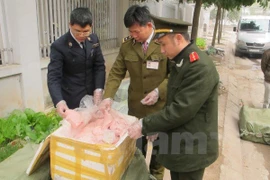Ảnh minh họa. (Nguồn: Vietnam+) 