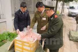 Ảnh minh họa. (Nguồn: Vietnam+) 