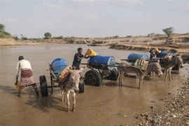 Người dân múc nước sông để sinh hoạt tại Gode, Ethiopia, ngày 8/4/2022. (Ảnh minh họa: AFP/TTXVN)