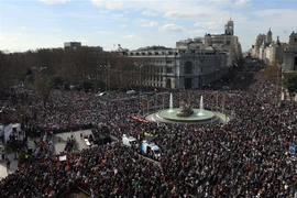Người dân tham gia biểu tình yêu cầu tăng cường đầu tư cho dịch vụ y tế công, tại Madrid, Tây Ban Nha, ngày 12/2/2023. (Ảnh: AFP/TTXVN)