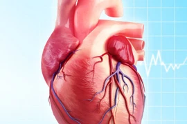 Ảnh minh họa. (Nguồn: Spotlight)