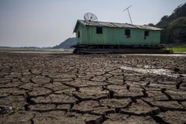 Hồ Aleixo ở Manaus, Amazonas, Brazil nứt nẻ do hạn hán. (Nguồn: AFP/TTXVN)