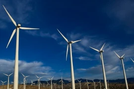 Các tuabin gió tại nhà máy phong điện ở Palm Springs, bang California. (Nguồn: THX/TTXVN)