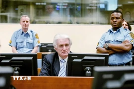 Ông Radovan Karadzic. (Nguồn: AFP/TTXVN)