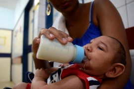Em bé bị mắc chứng đầu nhỏ được theo dõi tại bệnh viện Oswaldo Cruz, Đông Bắc Brazil. (Nguồn: THX/TTXVN)