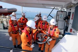 Ảnh chỉ có tính minh họa. (Ảnh: Trần Lê Lâm/TTXVN)