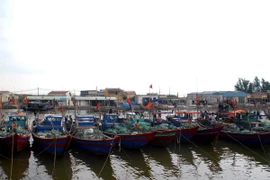 Ảnh chỉ có tính minh họa. (Ảnh: Quang Quyết/TTXVN)