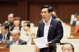 Đại biểu Quốc hội tỉnh Bình Định Nguyễn Văn Cảnh phát biểu ý kiến. (Ảnh: Phạm Kiên/TTXVN)