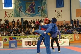 Các võ sỹ thi đấu đối kháng. (Ảnh: Nguyễn Quang Hồng/Vietnam+)