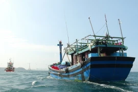 Ảnh chỉ có tính minh họa. (Ảnh: Nguyên Lý/TTXVN)