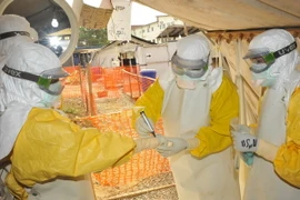 Nhân viên y tế điều trị cho bệnh nhân Ebola tại bệnh viện Donka ở Conakry, Guinea. (Nguồn: AFP/TTXVN)