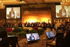 Thứ trưởng Ngoại giao Đặng Đình Quý phát biểu tại hội nghị. (Ảnh: Sơn Nam/TTXVN)