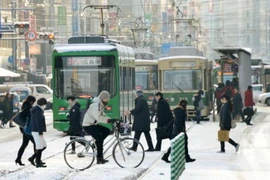 Tuyết phủ trắng xóa tại Hiroshima, miền tây Nhật Bản ngày 25/1. (Nguồn: Kyodo/TTXVN)