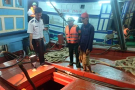 Lực lượng cảnh sát biển kiểm tra tàu vi phạm. (Ảnh: Phúc Sơn/Vietnam+)
