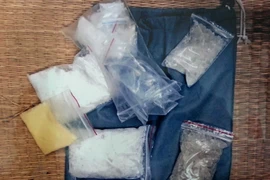 Ảnh minh họa. (Nguồn: TTXVN)