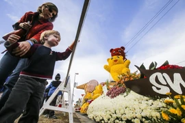 Các tác phẩm hoa hồng được trưng bày tại lễ hội. (Nguồn: THX/TTXVN)