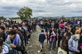 Người di cư tập trung gần khu vực Gevgelija, Macedonia sau khi vượt qua biên giới Hy Lạp-Macedonia. (Nguồn: AFP/TTXVN)