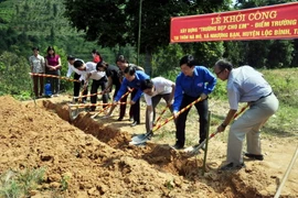 (Ảnh minh họa: Thái Thuần/TTXVN)