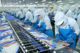 Chế biến cá tra xuất khẩu tại Công ty Cổ phần Vĩnh Hoàn (Đồng Tháp). (Ảnh: Vũ Sinh/TTXVN)