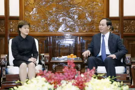 Chủ tịch nước Trần Đại Quang tiếp bà Catherine Wong Siow Ping, Đại sứ Singapore tại Việt Nam. (Ảnh: Nhan Sáng/TTXVN)