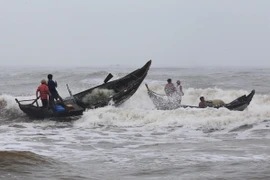 Ảnh chỉ có tính minh họa. (Ảnh: Hồ Cầu/TTXVN)