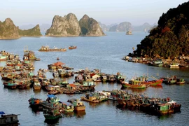 Tàu thuyền của ngư dân neo đậu tại cảng Cái Rồng, Quảng Ninh. (Ảnh: Quang Quyết/TTXVN)