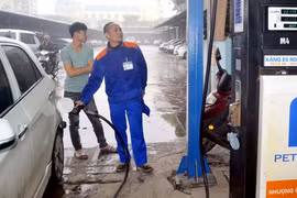 Ảnh chỉ có tính minh họa. (Ảnh: Quốc Việt/TTXVN)