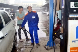 Ảnh chỉ có tính minh họa. (Ảnh: Quốc Việt/TTXVN)