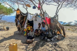 Người dân Yemen tại một trại tị nạn ở ngoại ô thành phố Taez. (Nguồn: AFP/TTXVN)