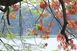 (Ảnh minh họa: Anh Tuấn/TTXVN)