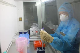 Kỹ thuật viên xét nghiệm tại Bệnh viện Đa khoa Đồng Tháp thực hiện các công đoạn xét nghiệm SARS-CoV-2 bằng phương pháp Realtime PCR. (Ảnh: Chương Đài/TTXVN)