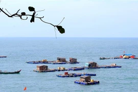 Cụm đảo Hòn Chuối, thị trấn Sông Đốc, huyện Trần Văn Thời, tỉnh Cà Mau là cụm đảo có đông dân cư sinh sống với nghề khai thác biển và nuôi cá lồng bè hiệu quả. (Ảnh: Huỳnh Anh/TTXVN)
