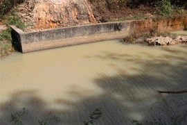 (Ảnh minh họa: Cao Nguyên/TTXVN)